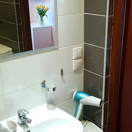 Red Spodek Center Appartement *